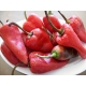 Piquillo pepper seeds - Capsicum annuum 40 seeds