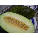 Melon Piel de sapo - Cucumis melo 40 semillas